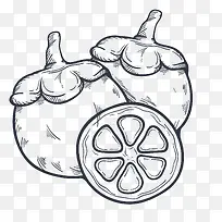 水果山竹素描png-空若网 水果山竹素描png-空若网