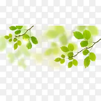 ��֦-������