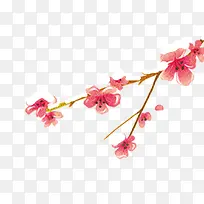 红色梅花-空若网 红色梅花-空若网