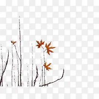 �Ƿ��＾��֦-������