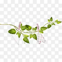 树枝藤-空若网 树枝藤-空若网