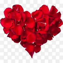 花瓣爱心-空若网 花瓣爱心-空若网
