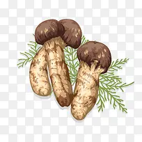 手绘蘑菇-空若网 手绘蘑菇-空若网