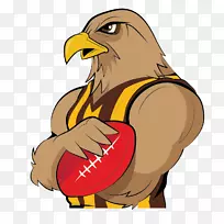 2017年AFL赛季山楂足球俱乐部西海岸老鹰澳大利亚足球联赛季前赛金海岸足球俱乐部-鹰队-空若网 2017年AFL赛季山楂足球俱乐部西海岸老鹰澳大利亚足球联赛季前赛金海岸足球俱乐部-鹰队-空若网