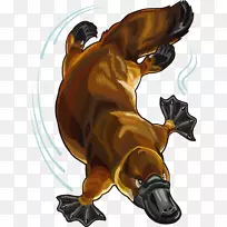 澳大利亚鸭嘴兽动物剪贴画北极熊-空若网 澳大利亚鸭嘴兽动物剪贴画北极熊-空若网