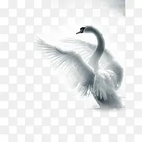 ���-������