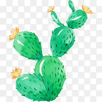 小清新插画广告设计卡通盆栽仙人-空若网 小清新插画广告设计卡通盆栽仙人-空若网