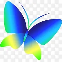 梦幻多彩蝴蝶-空若网 梦幻多彩蝴蝶-空若网