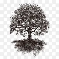 Ê÷ Ê÷ľ ľ Ö²Îï-¿ÕÈôÍø Ê÷ Ê÷ľ ľ Ö²Îï-¿ÕÈôÍø