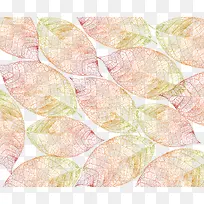 �����Ҷ���米��-������