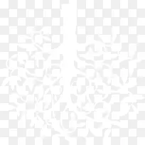 倒挂的树-空若网 倒挂的树-空若网