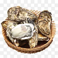 自家养殖生蚝-空若网 自家养殖生蚝-空若网