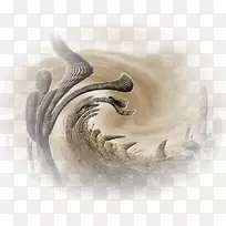 剪毛皮革博客-空若网 剪毛皮革博客-空若网