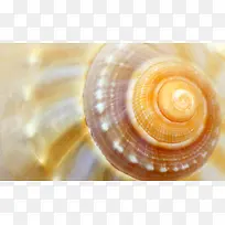 螺丝背景-空若网 螺丝背景-空若网