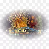 悉尼歌剧院悉尼海港大桥港杰克逊悉尼新年前夜拼图管-空若网 悉尼歌剧院悉尼海港大桥港杰克逊悉尼新年前夜拼图管-空若网