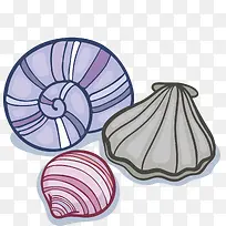 手绘多彩贝壳-空若网 手绘多彩贝壳-空若网