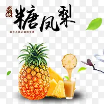 糖凤梨-空若网 糖凤梨-空若网