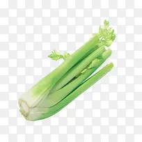 芹菜食物-空若网 芹菜食物-空若网