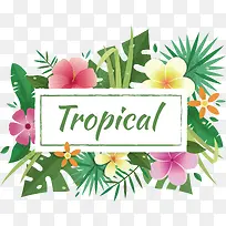 矢量植物边框下载-空若网 矢量植物边框下载-空若网