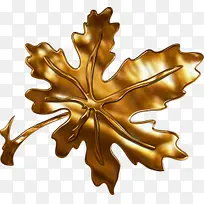 金色树叶-空若网 金色树叶-空若网