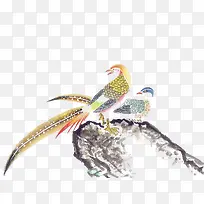 ������ֻ��ȸվ����֦��-������