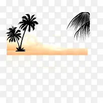 阳光下的槟榔树-空若网 阳光下的槟榔树-空若网