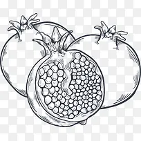 夏季水果手绘石榴-空若网 夏季水果手绘石榴-空若网