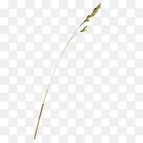 ʵ�������-������