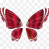 ���������ֽ��Ӱ��������.���-������