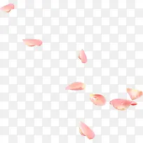 粉色爱心花瓣露珠设计-空若网 粉色爱心花瓣露珠设计-空若网