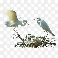 动物素材卡通动物图片 树枝上的-空若网 动物素材卡通动物图片 树枝上的-空若网