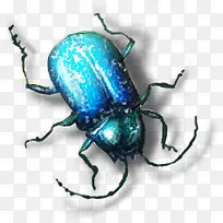 动物素材卡通虫鸟元素-空若网 动物素材卡通虫鸟元素-空若网