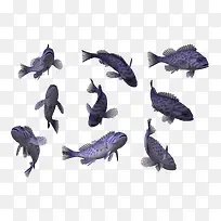 ���׶���-������