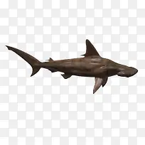 ��������-������