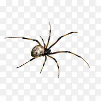 �ֻ涯���زĿ�ͨ����ͼƬ-������