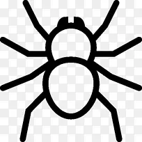 蜘蛛网计算机图标-蜘蛛-空若网 蜘蛛网计算机图标-蜘蛛-空若网