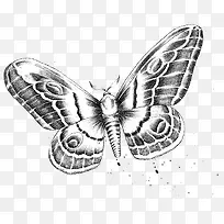 蝴蝶-空若网 蝴蝶-空若网