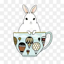 坐在杯子里的兔子-空若网 坐在杯子里的兔子-空若网