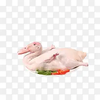 产品实物一只鸭子-空若网 产品实物一只鸭子-空若网