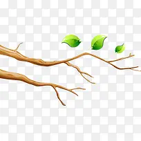 ¹âͺͺµÄÊ÷Ö¦ºÍÂÌÒ¶-¿ÕÈôÍø ¹âͺͺµÄÊ÷Ö¦ºÍÂÌÒ¶-¿ÕÈôÍø