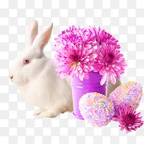 ����-������