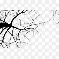 光秃秃的枯树枝-空若网 光秃秃的枯树枝-空若网