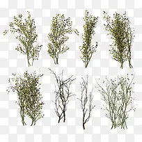 秋天的景色-空若网 秋天的景色-空若网