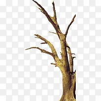 枯树枝枝桠-空若网 枯树枝枝桠-空若网