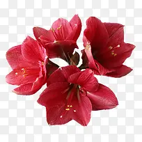 Ψ������ͼƬ����ͼ���ز�-������