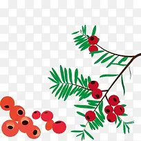 红豆杉插画-空若网 红豆杉插画-空若网