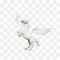 ��ɵ���-������