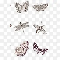 手绘小动物-空若网 手绘小动物-空若网