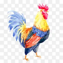 水彩公鸡矢量-空若网 水彩公鸡矢量-空若网