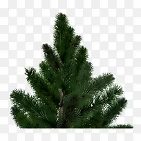 ��ɼ���ز�-������